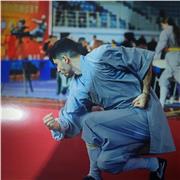 Clases básicas de Kung fu Shaolin. Ganador de competiciones internacionales y titulado con el sistema Shaolin como instructor